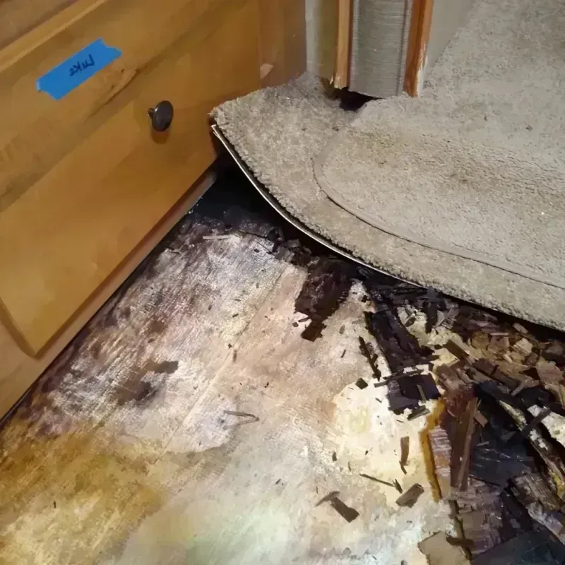 Wood Floor Water Damage in Armstrong County, PA